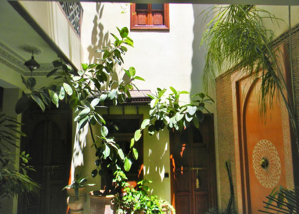Riad El Wiam 마라케시 외부 사진